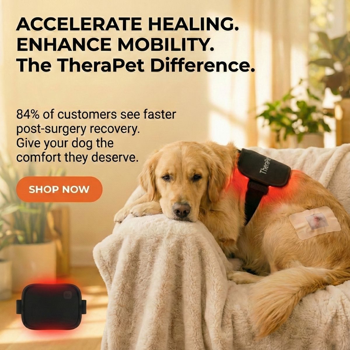Therapet Co Facebook ad