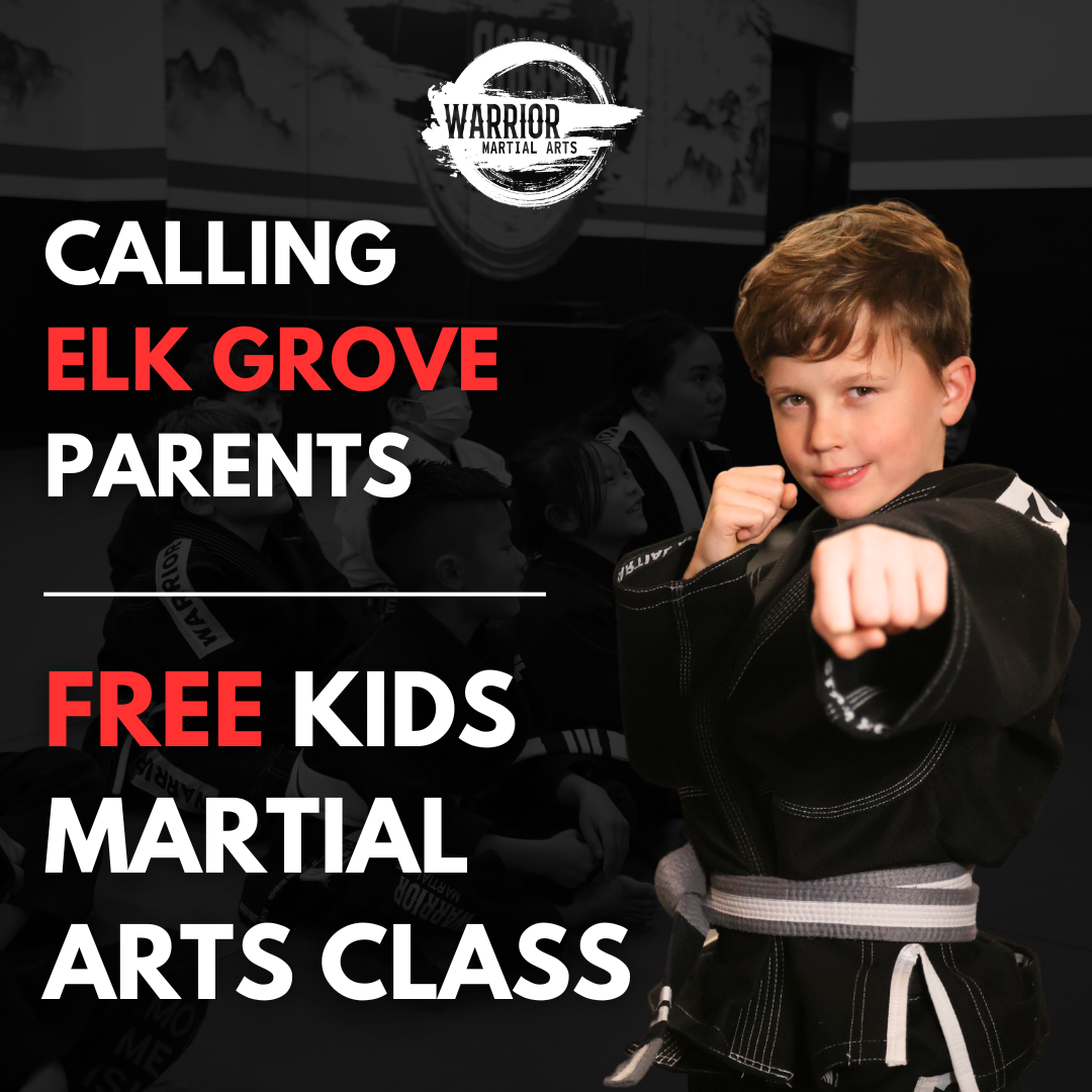 Warrior Martial Arts Facebook ad
