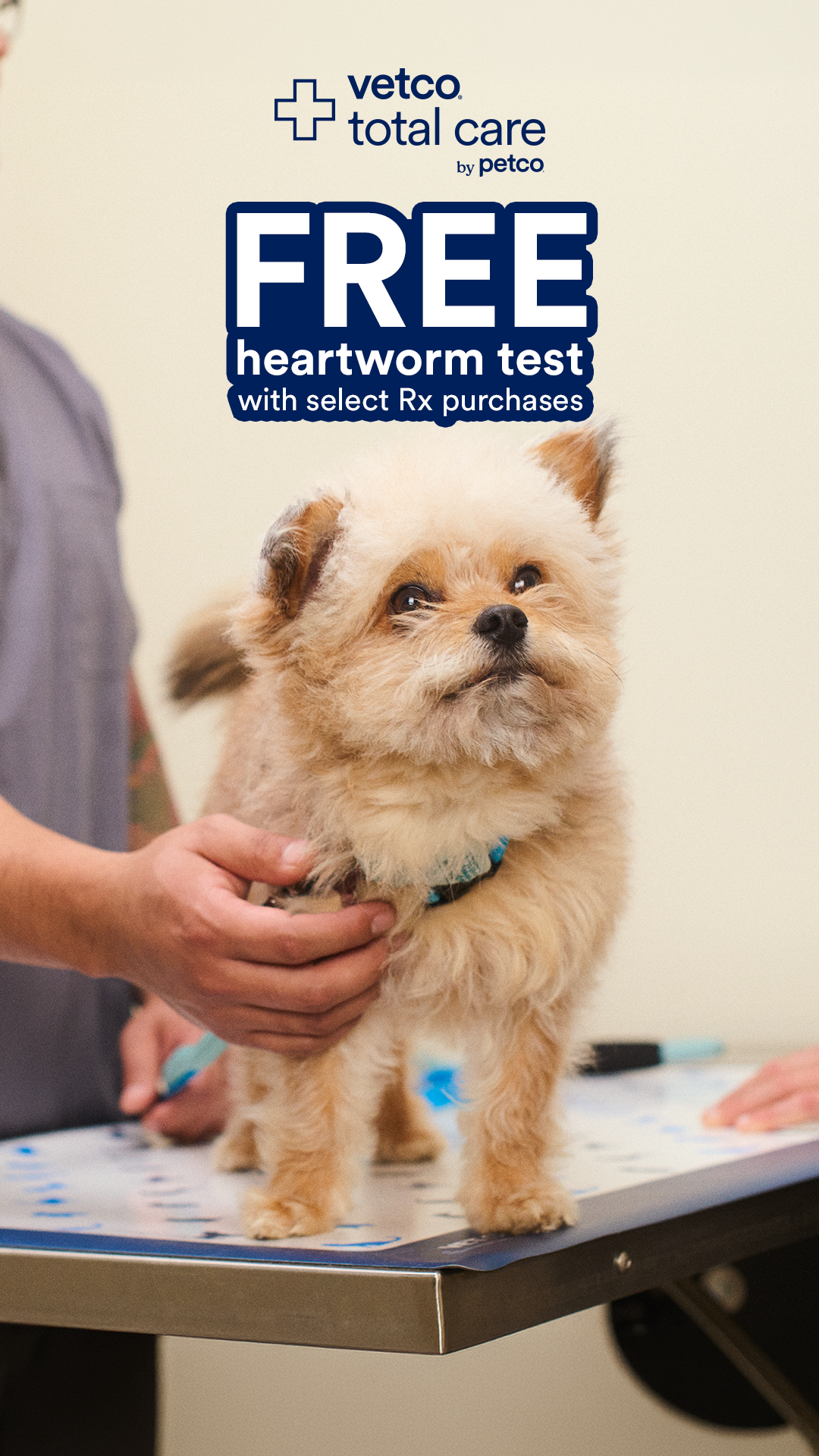 Petco Facebook ad