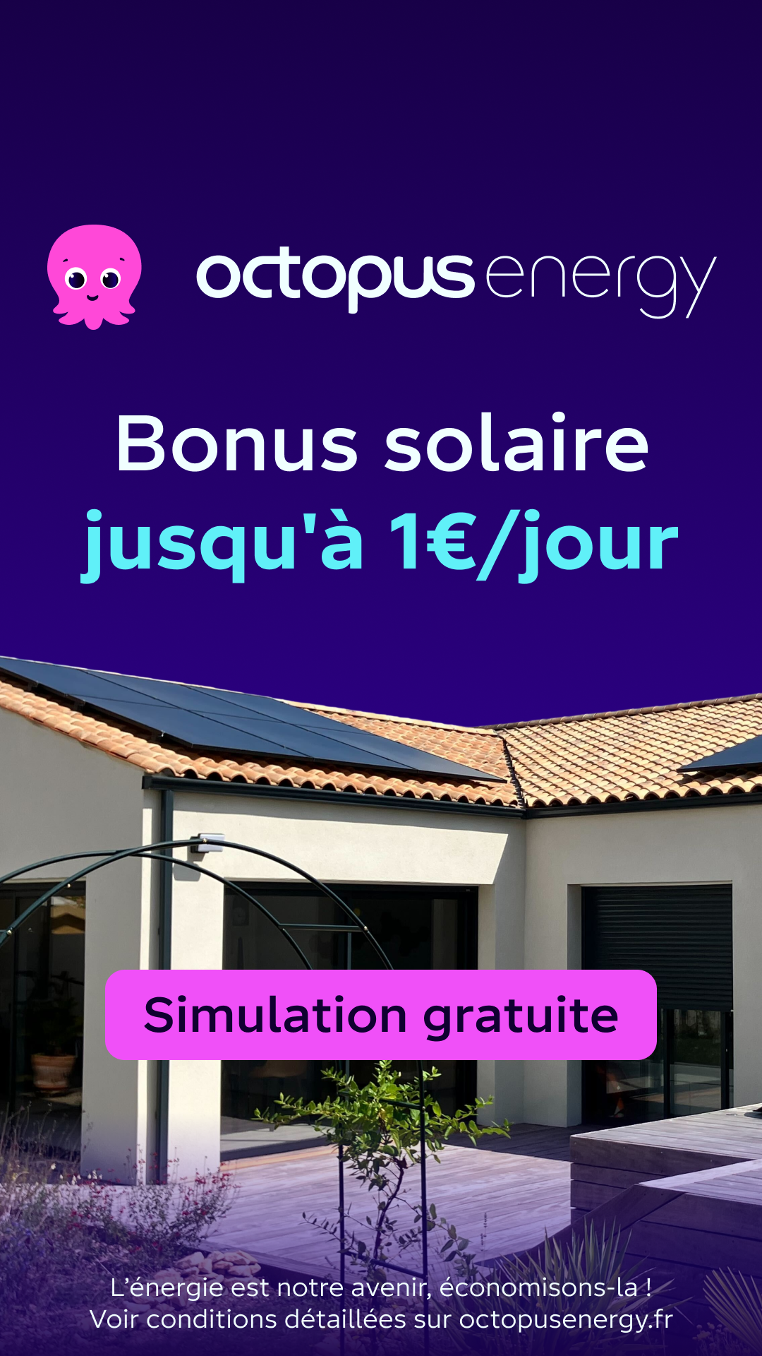 Octopus Energy Facebook ad