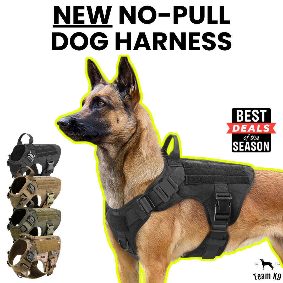 Team K9 Facebook ad