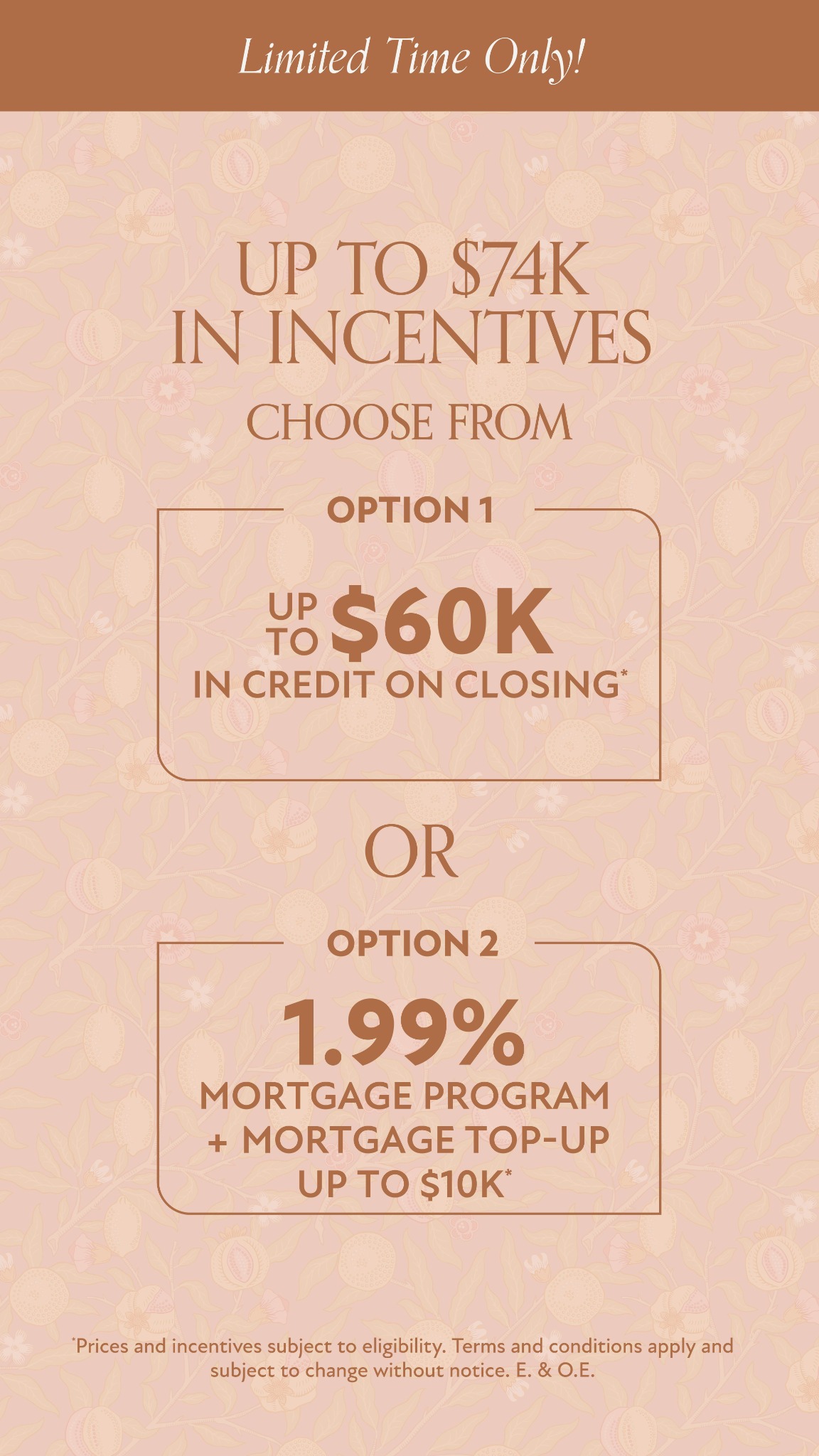 Empire Homes Ontario Facebook ad