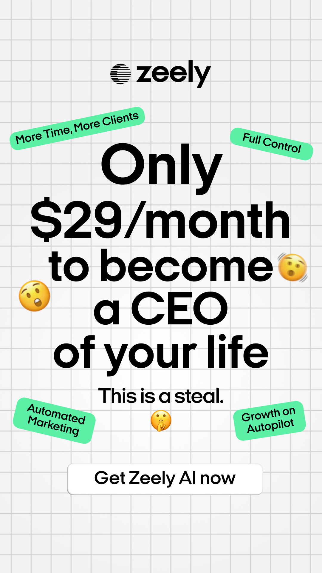 Zeely Facebook ad