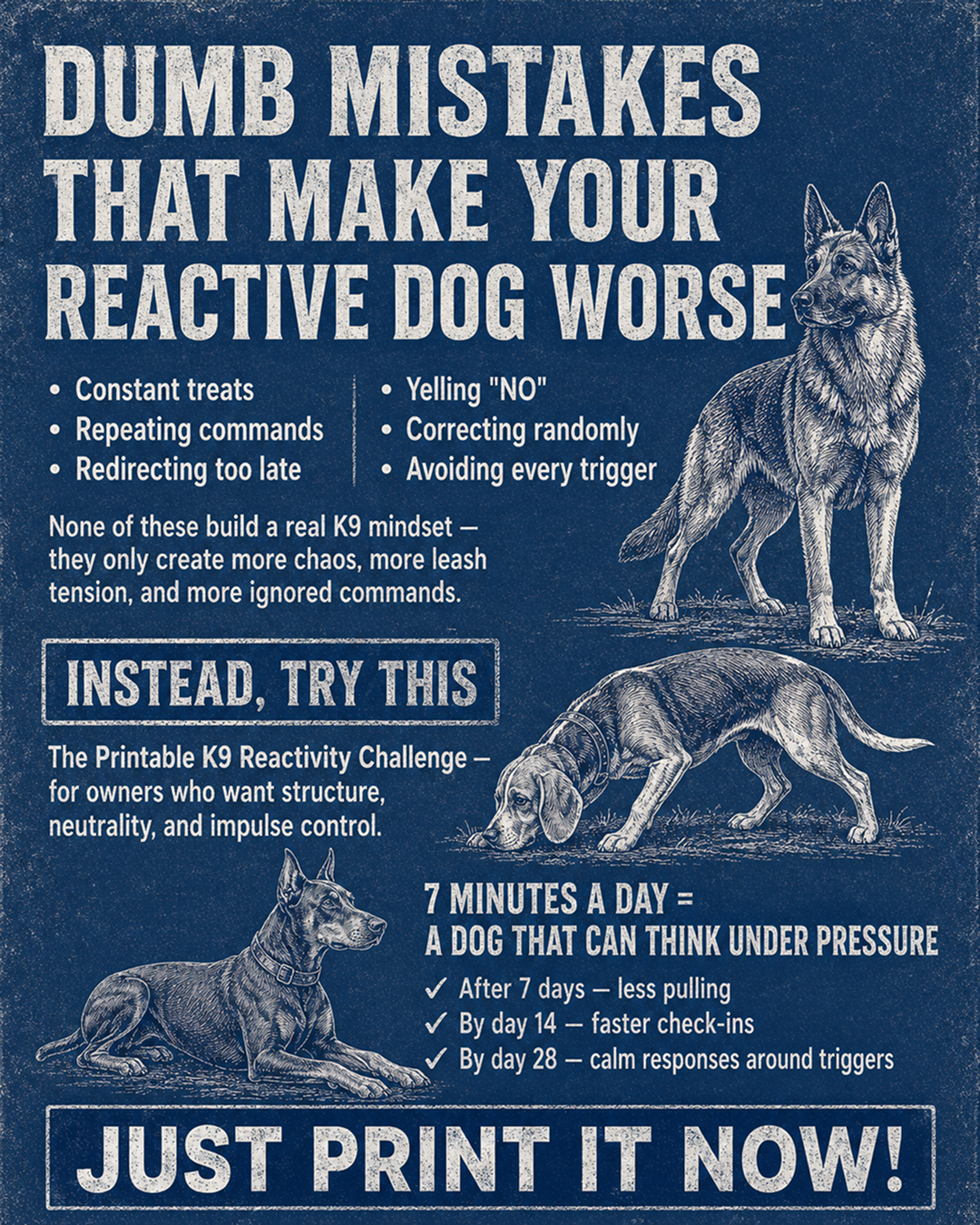 1st Dog Training Club Facebook ad