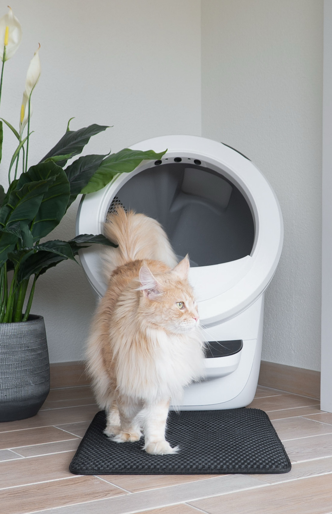 Litter-Robot by Whisker Facebook ad