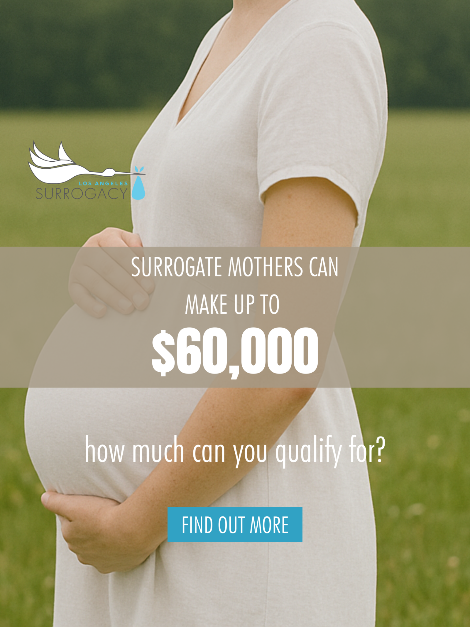 Los Angeles Surrogacy Facebook ad
