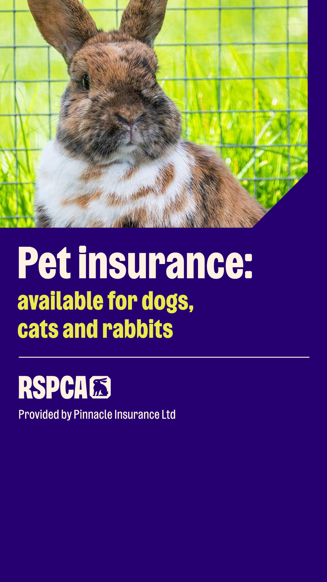 RSPCA (England & Wales) Facebook ad from Jan 5, 2026