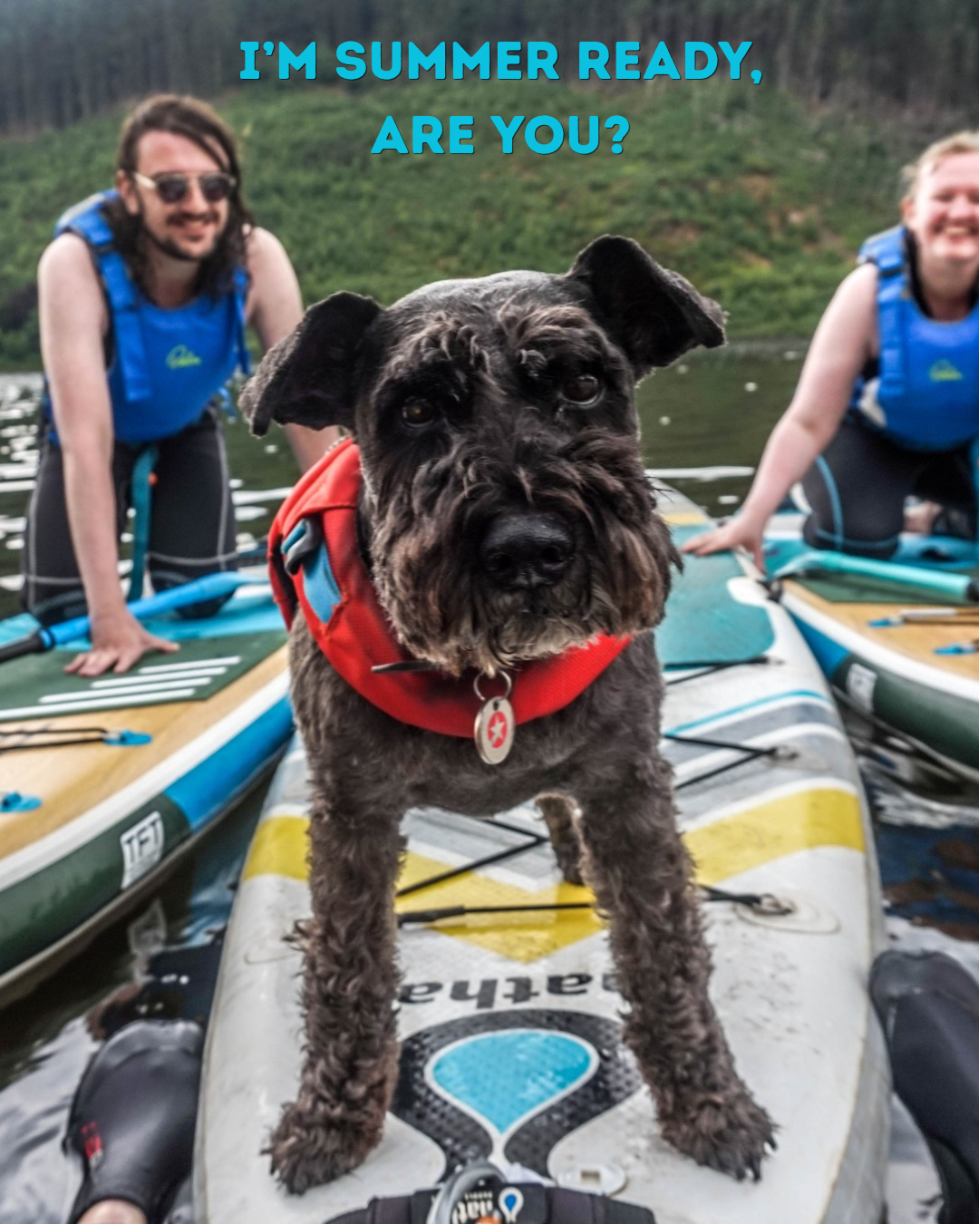 Hatha Paddle Boards Facebook ad