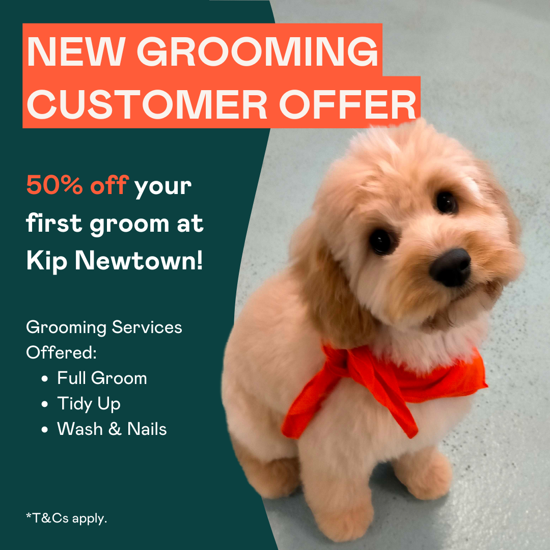 Kip Newtown Facebook ad: First Groom Offer: 50% Off!