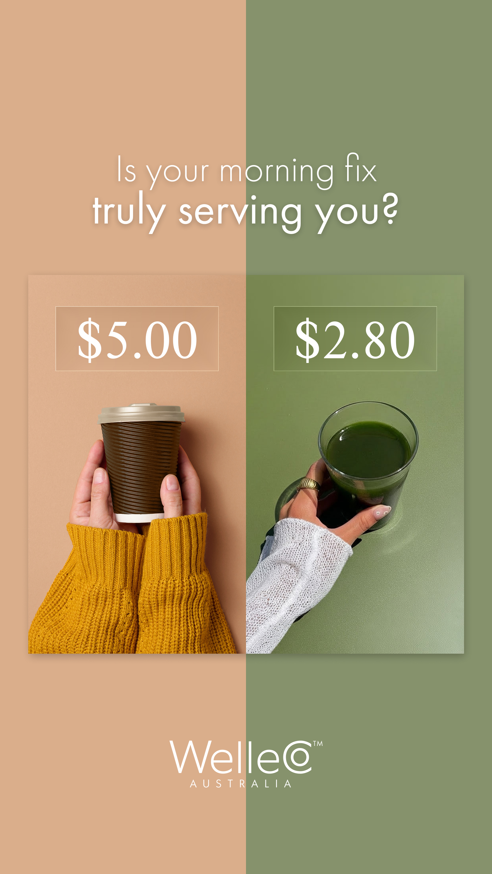 WelleCo Facebook ad