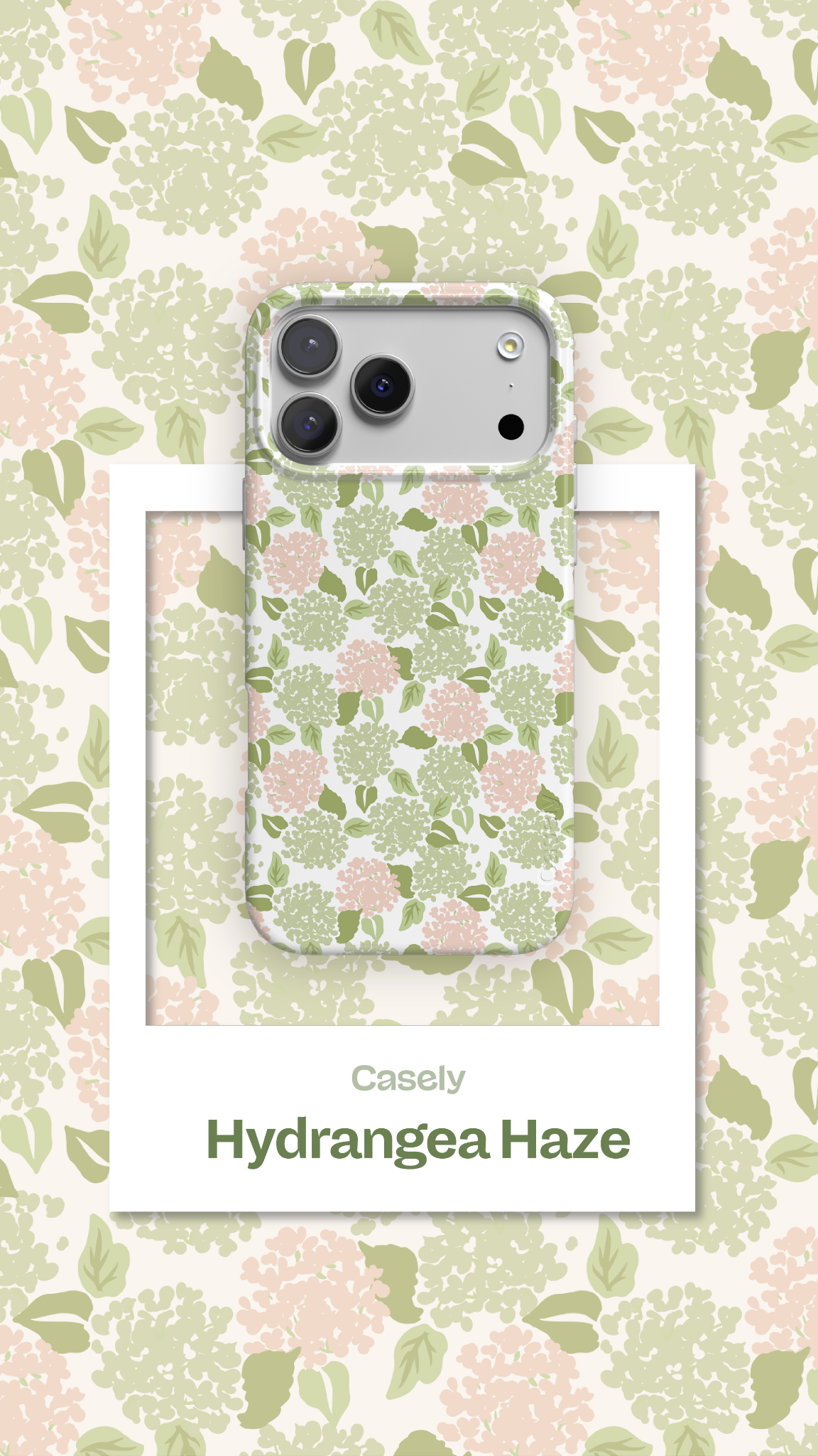 Casely Facebook ad