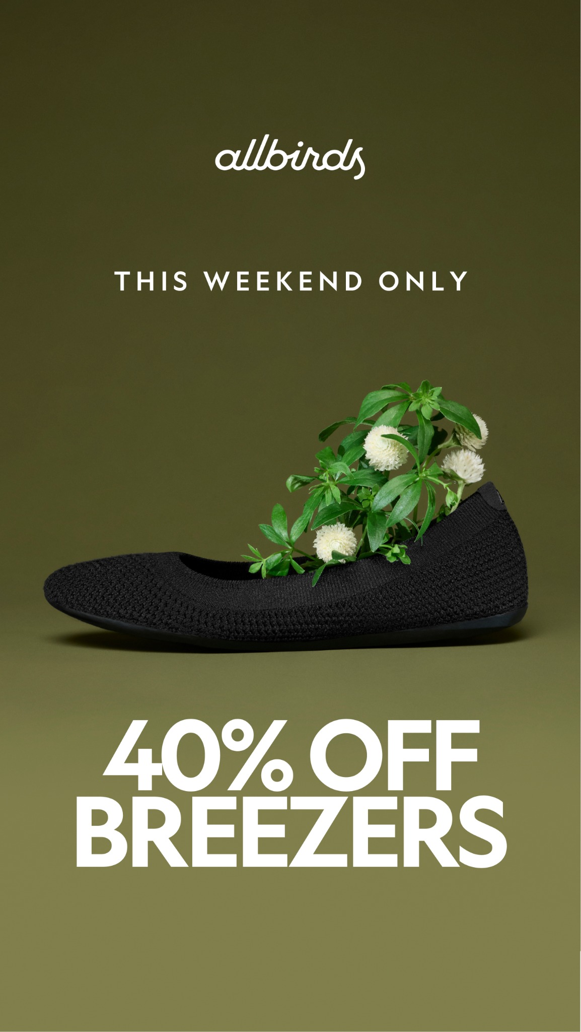 Allbirds New Zealand Facebook ad