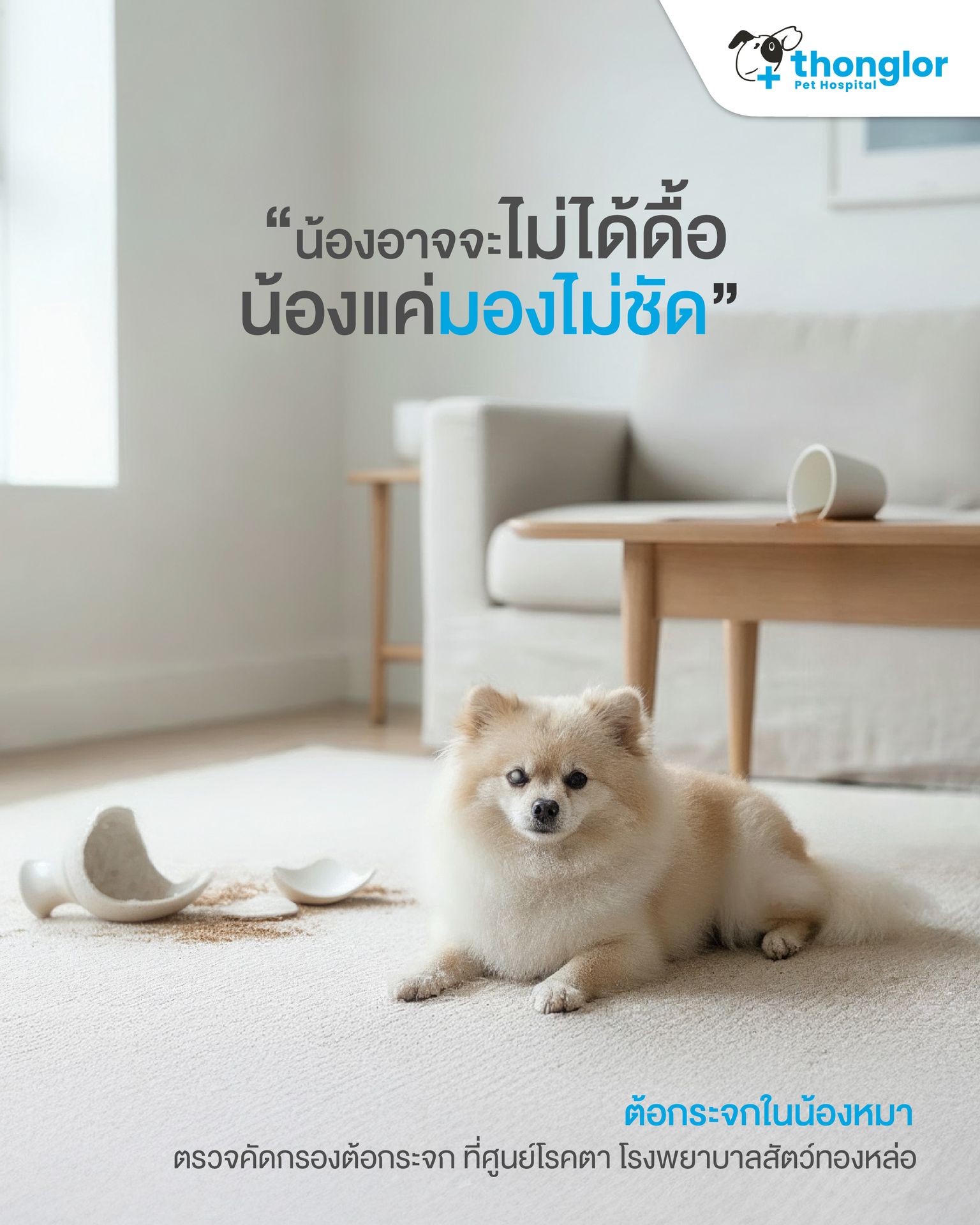 Thonglor Pet Hospital โรงพยาบาลสัตว์ทองหล่อ Facebook ad: เดินชน ≠ ดื้อ