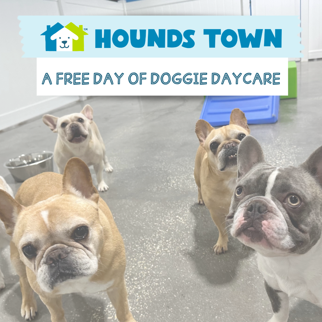 Hounds Town Massapequa Facebook ad