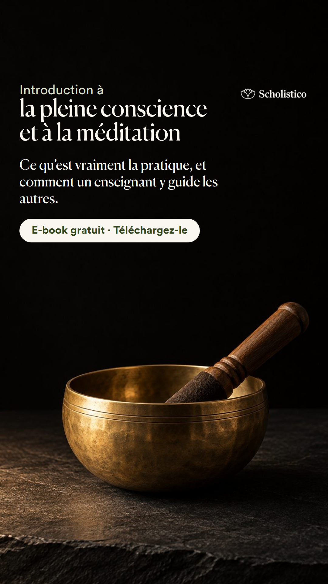 Scholistico en Français Facebook ad: La méditation expliquée: e-book