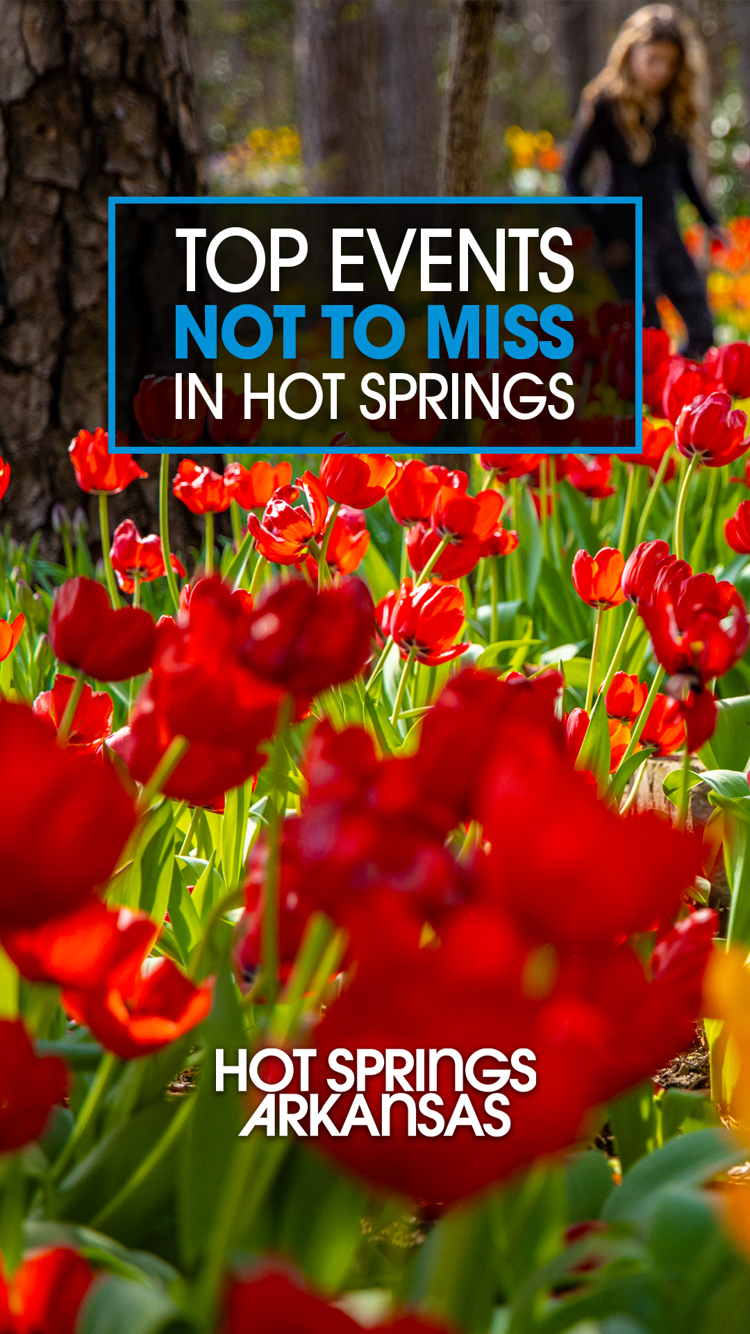 Visit Hot Springs Facebook ad