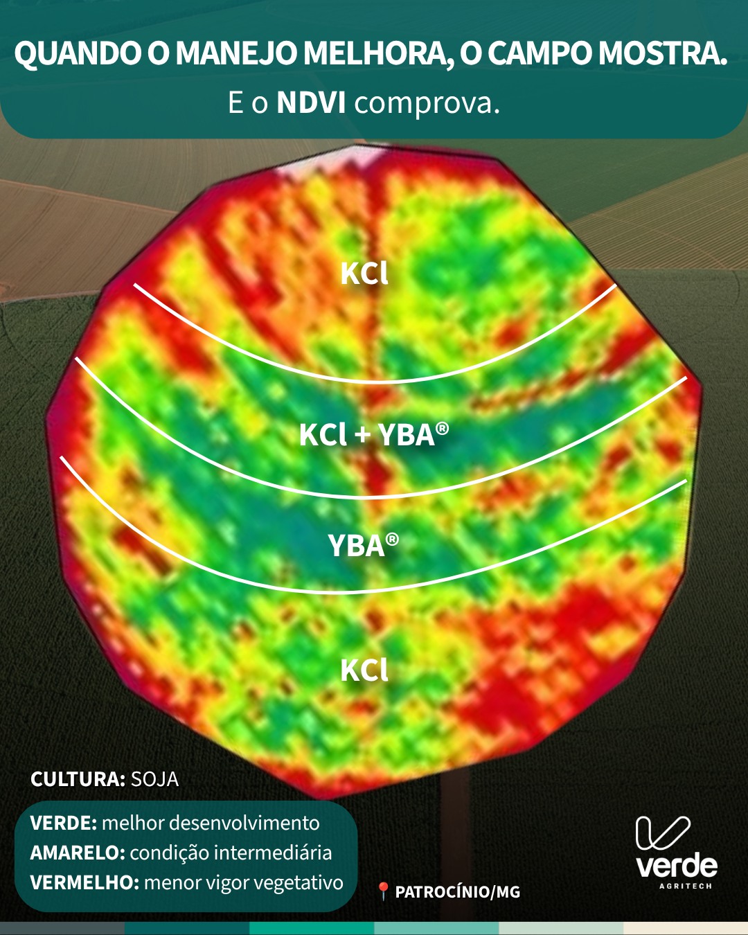 Verde Agritech Facebook ad: Nesta imagem, o NDVI revela como diferentes manejos…