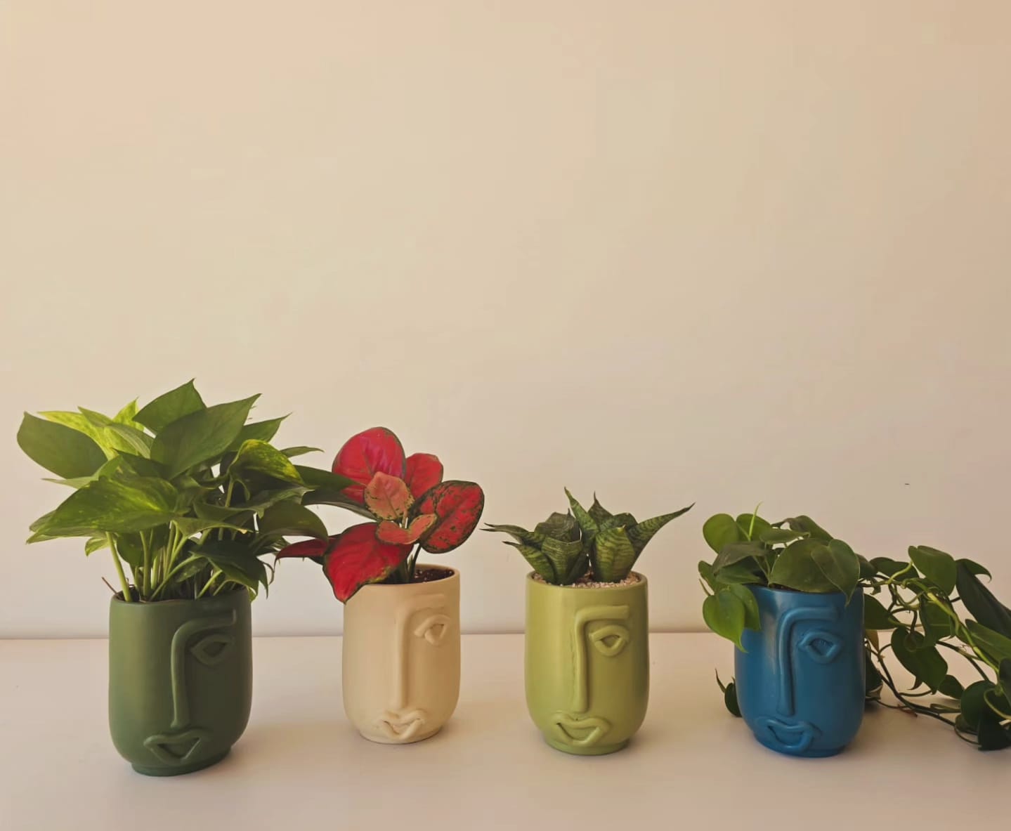 Plantcultcairo Facebook ad: PLANTCULTCAIRO - An urban-jungle revolution.