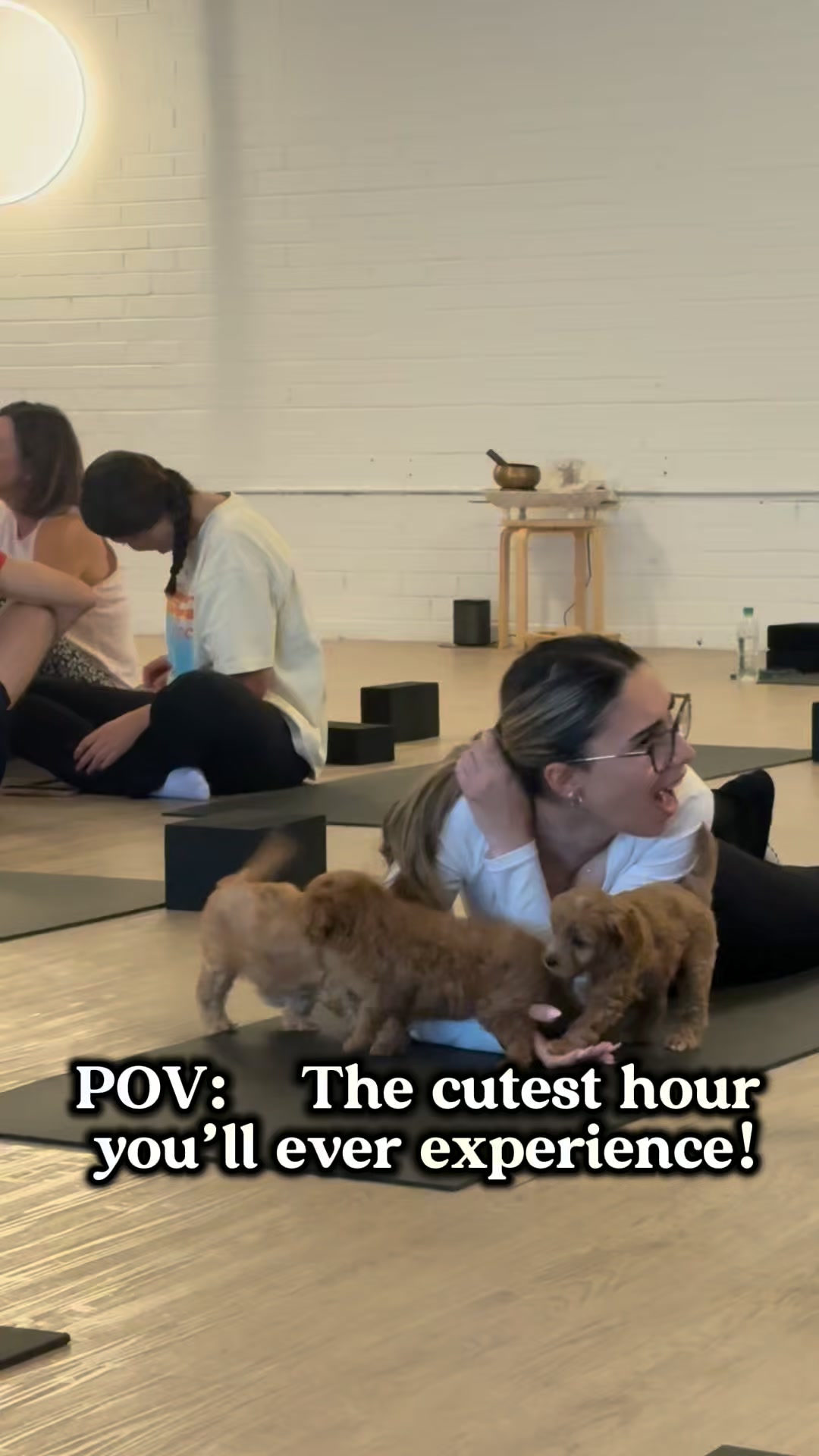 Positiva Puppy Yoga Facebook ad: Get 5% OFF code: PUPPY5