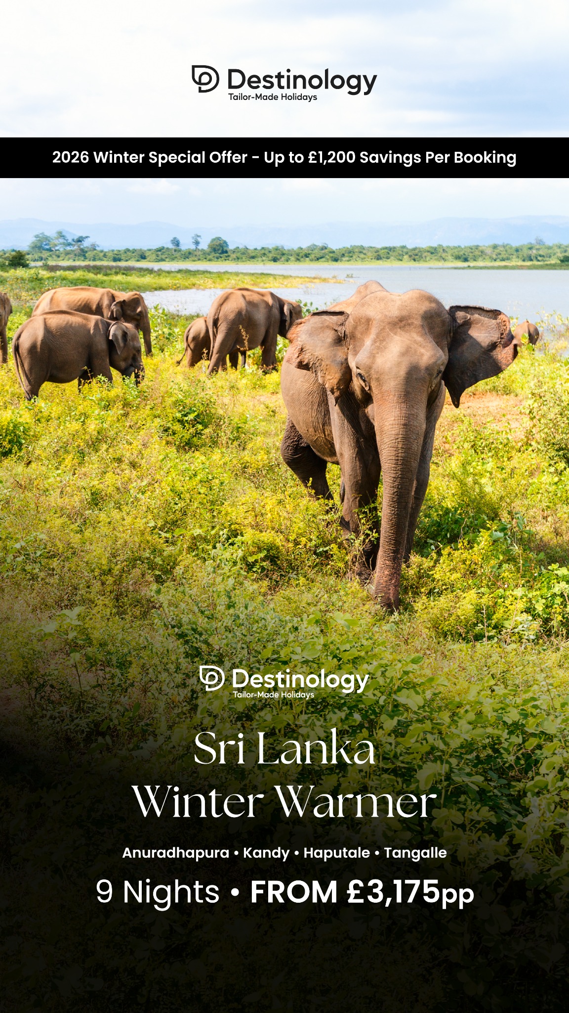 Destinology - Luxury Holidays Facebook ad: Sri Lanka Winter Warmer
