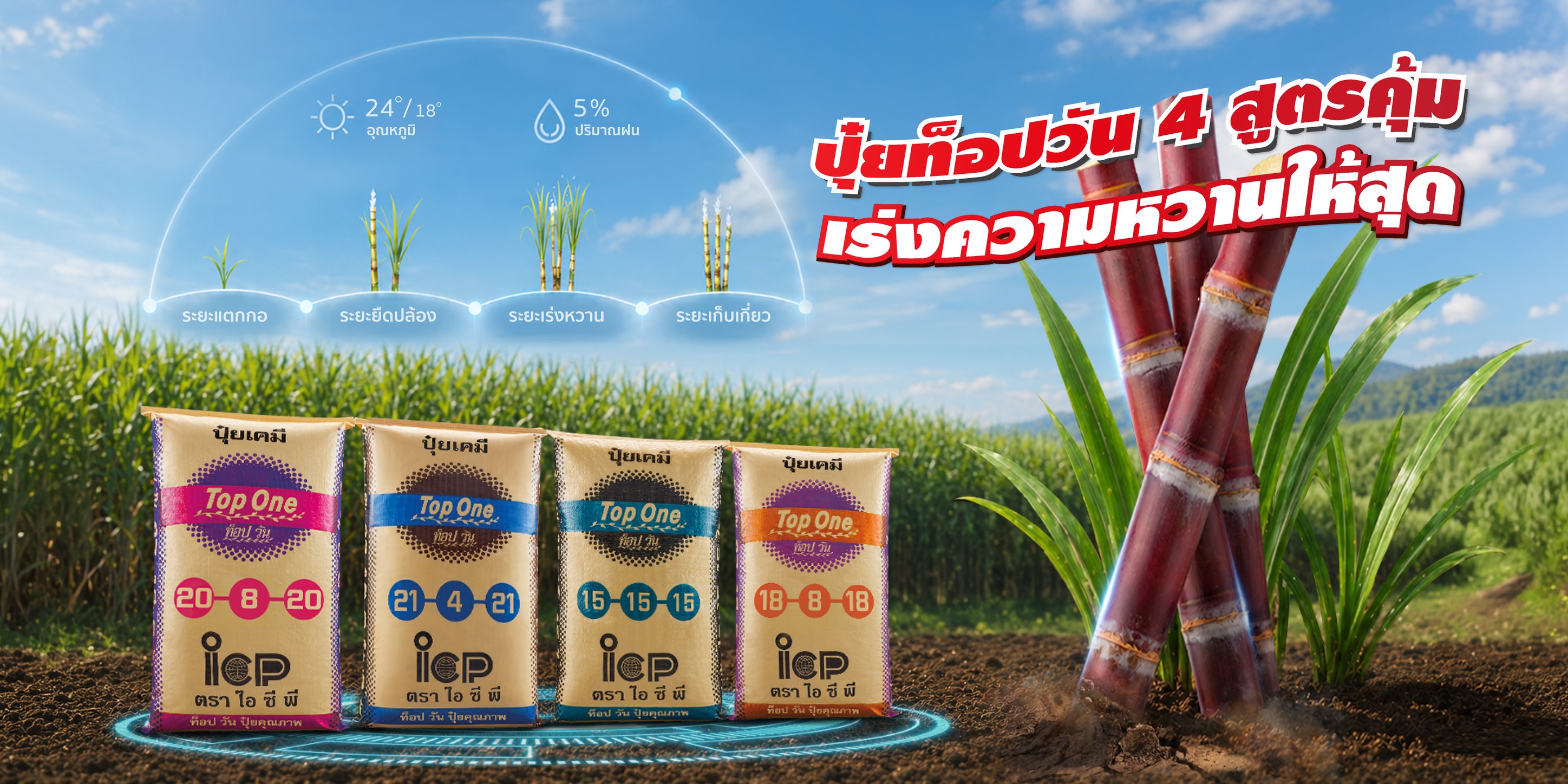 ปุ๋ยท็อปวัน - ใช้น้อย ผลผลิตเยอะ Facebook ad: 4 สูตรคุ้ม ยืนหนึ่งเรื่องอ้อย