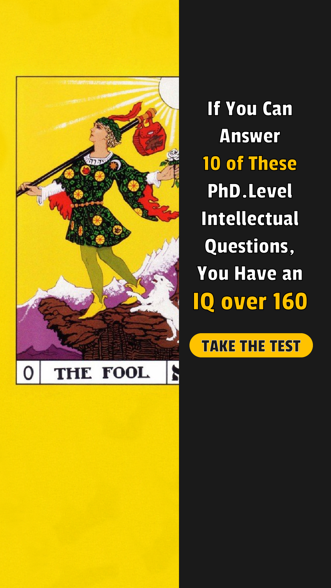 My IQ Facebook ad