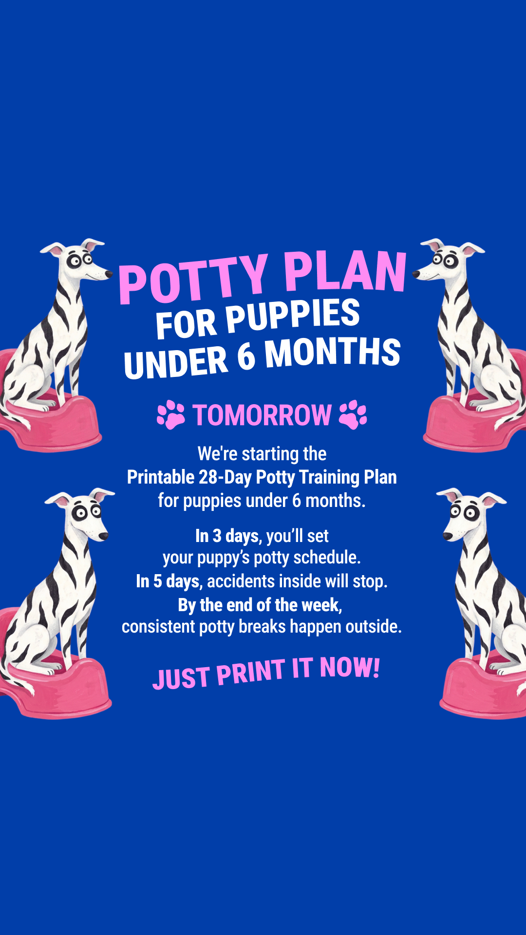 Woofz - Puppy Training Facebook ad
