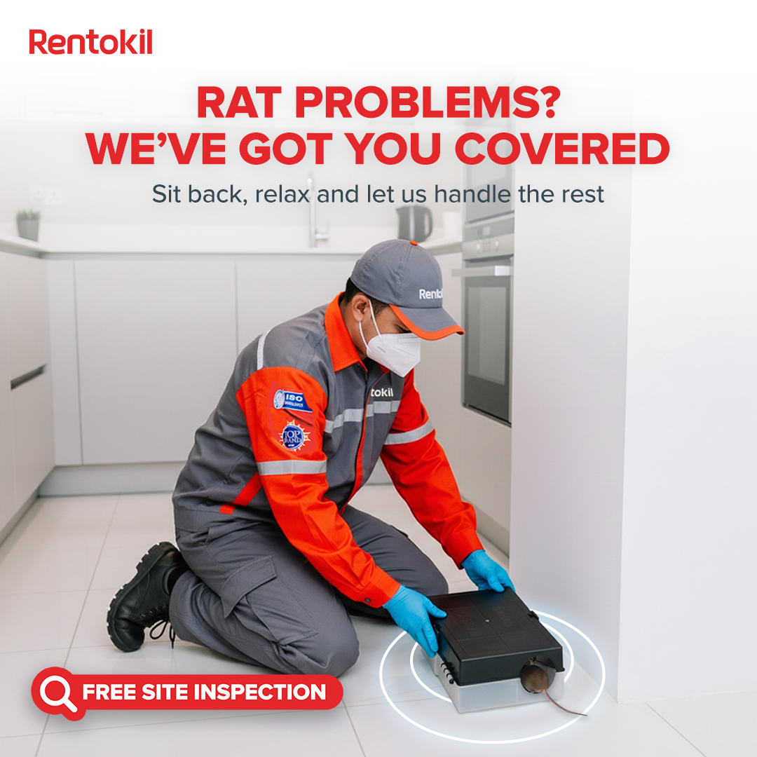 Rentokil Indonesia Facebook ad: Get rid of rats quickly and permanently with…