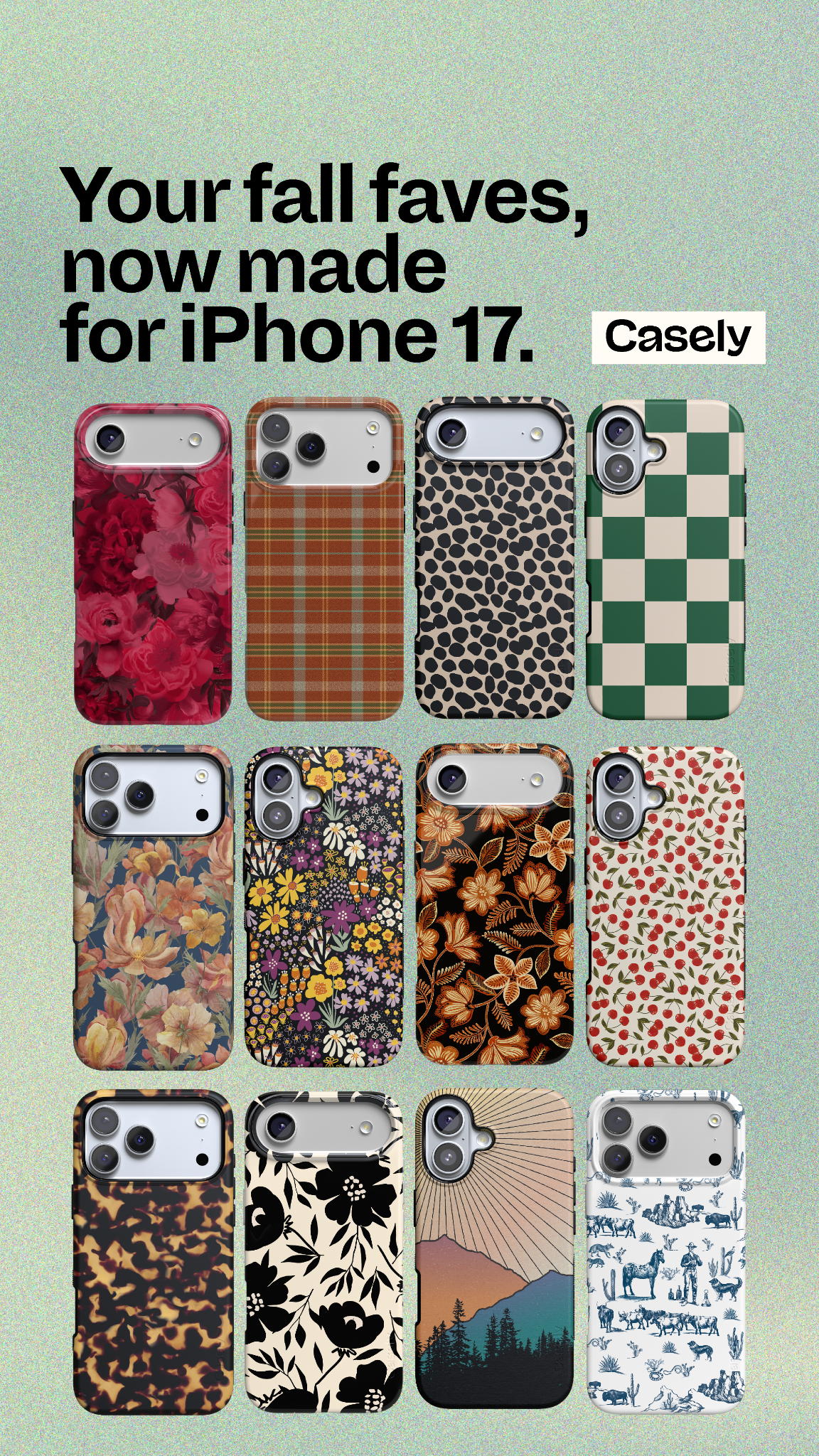 Casely Facebook ad