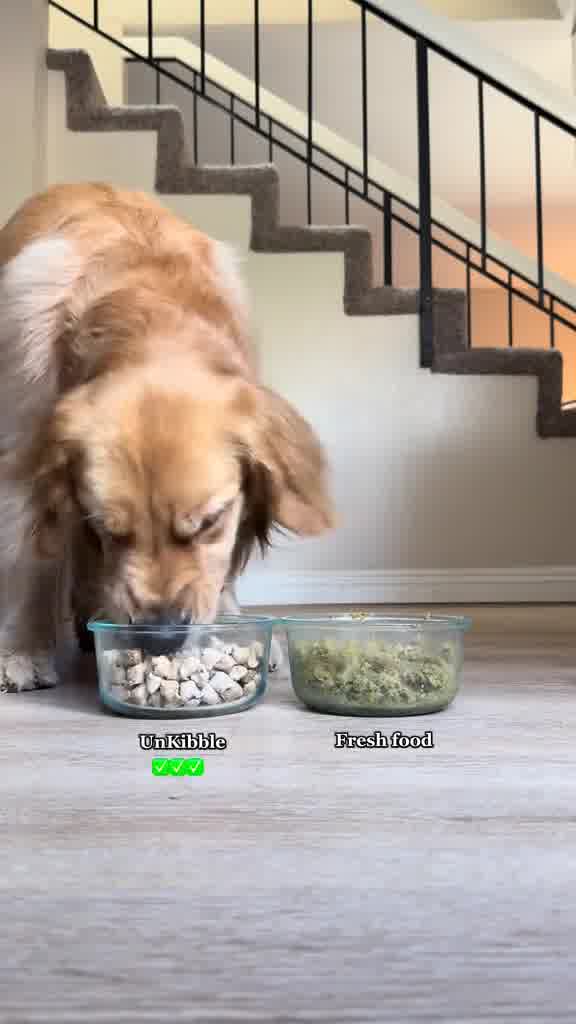 Britt + Wince Facebook ad: UnKibble, Try for 50% Off Today