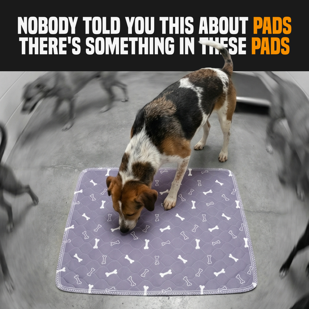 PuppyPad Facebook ad