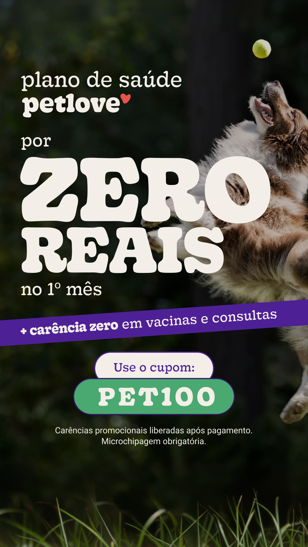 Petlove Facebook ad