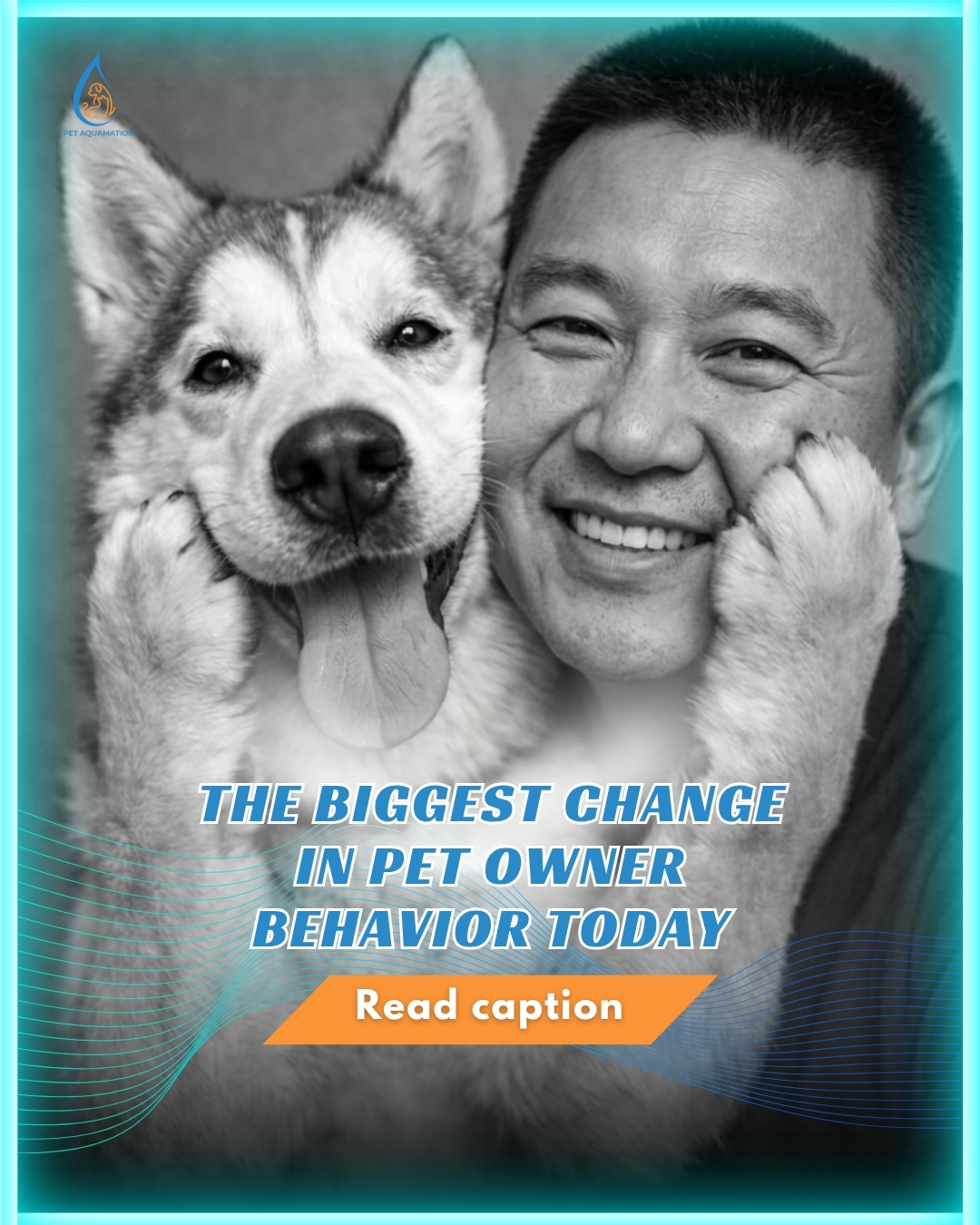 Pet Aquamation Machine HK Facebook ad: The Biggest Shift in Pet Owners Today