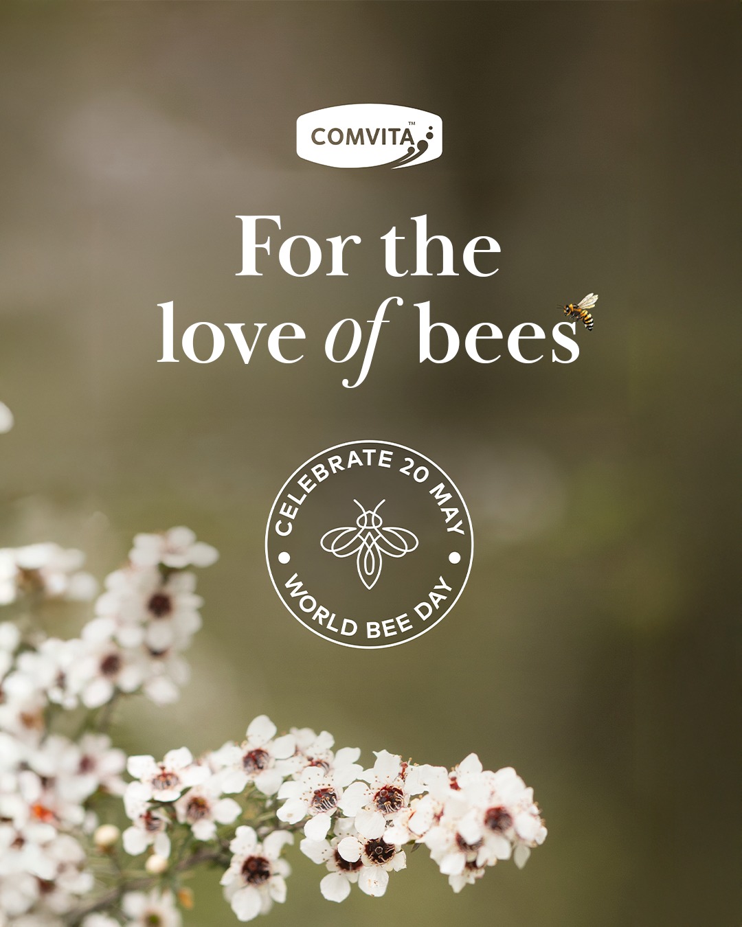 Comvita New Zealand Facebook ad
