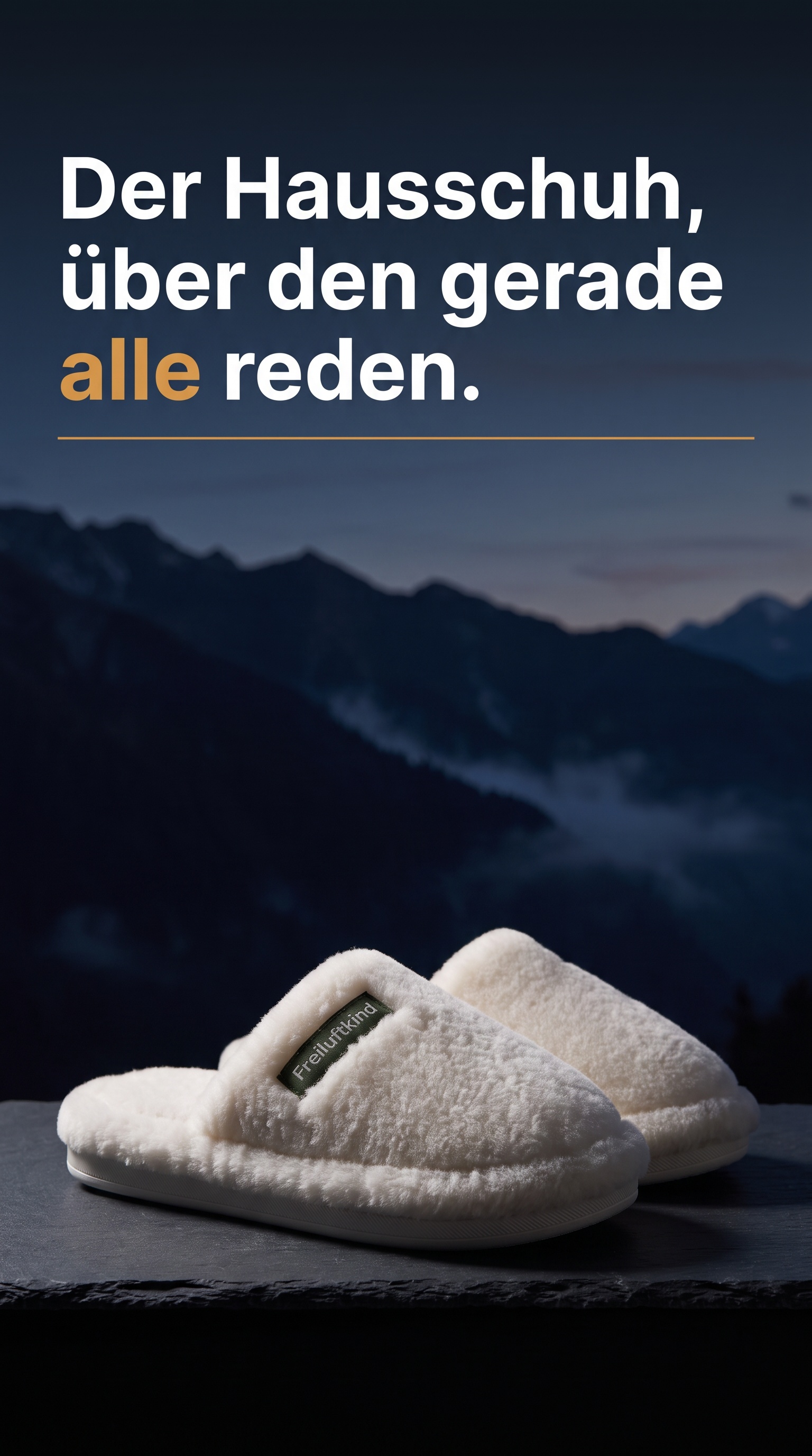 Freiluftkind Facebook ad: Homie, der orthopädische Hausschuh, den gerade alle tragen