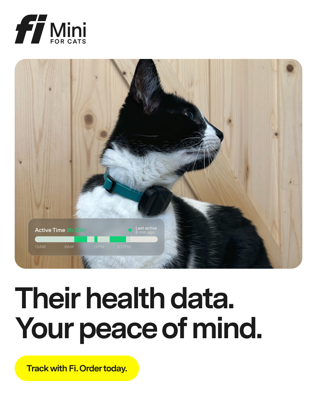 Fi Facebook ad