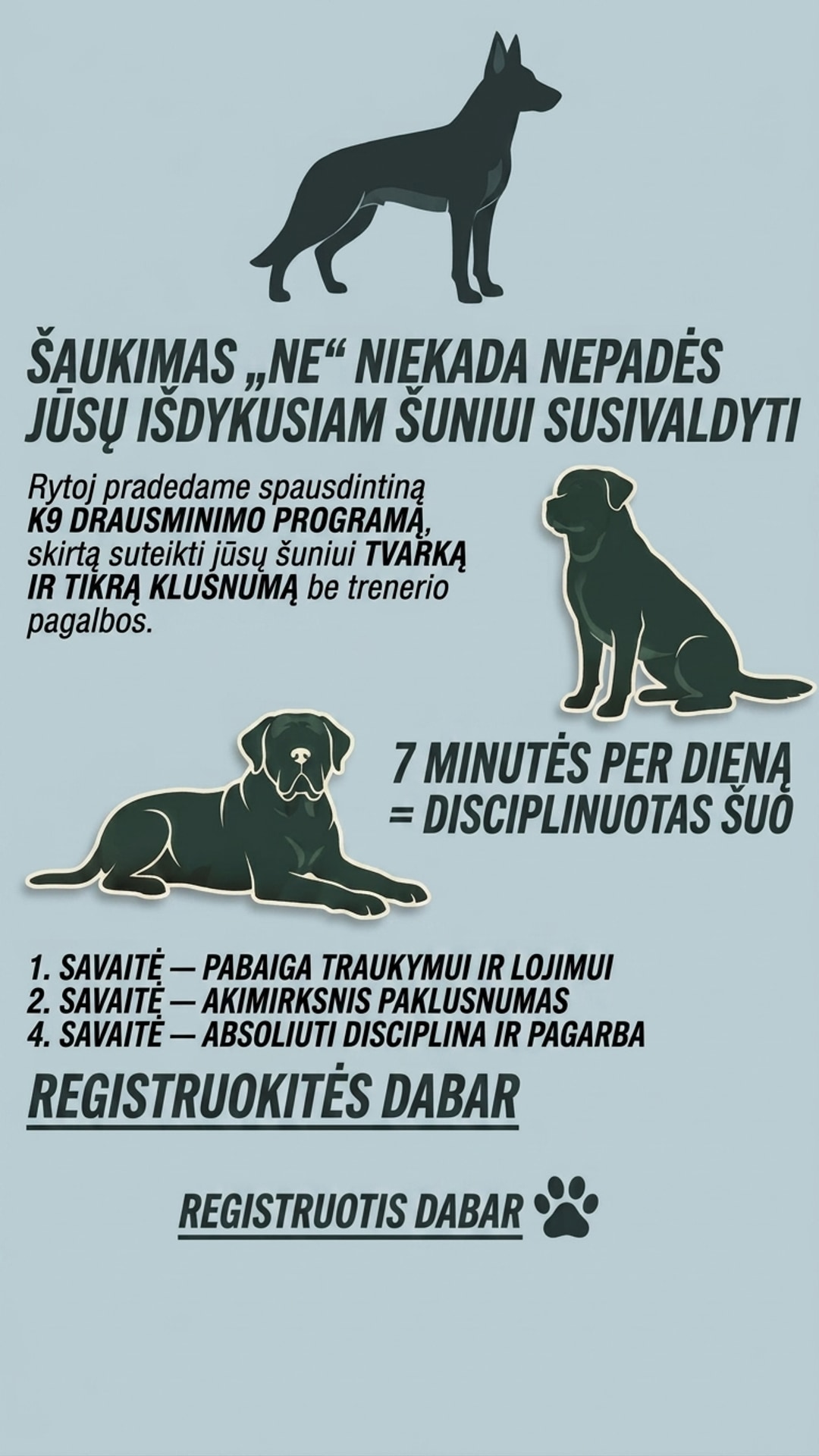 Pupora Facebook ad