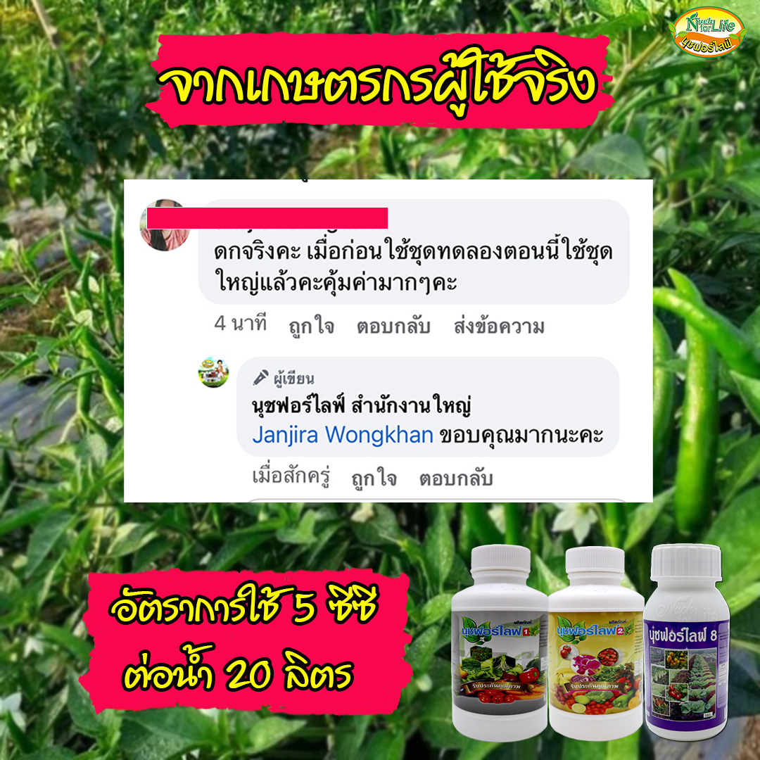 นุชฟอร์ไลฟ์ สำนักงานใหญ่ Facebook ad: รีวิวจริงจากเกษตรกรผู้ใช้จริง