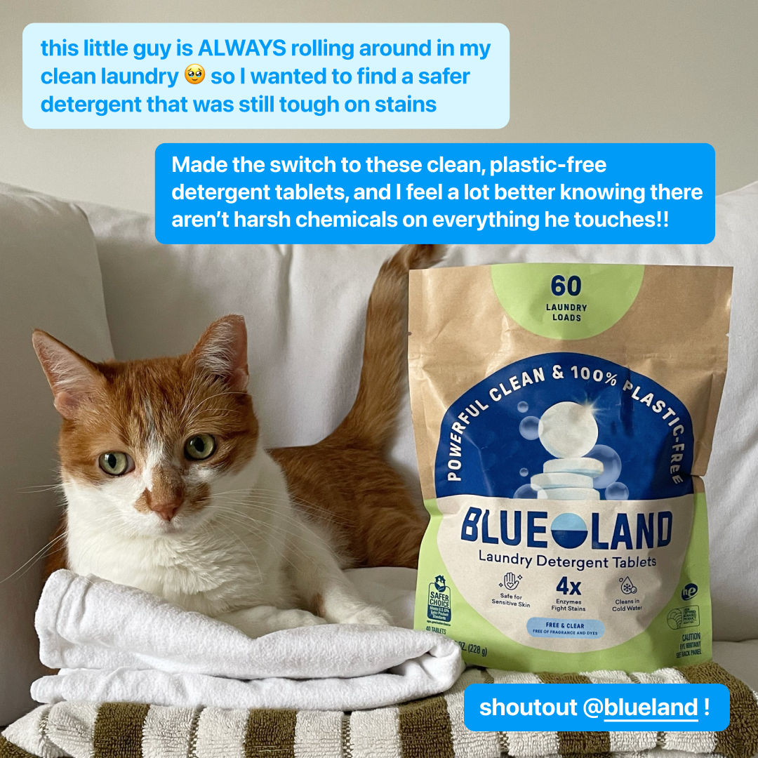 Blueland Facebook ad