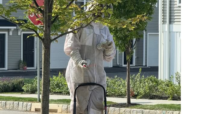 Genesis Termite and Pest Control Facebook ad