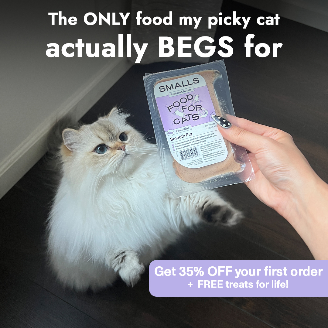 Smalls Facebook ad