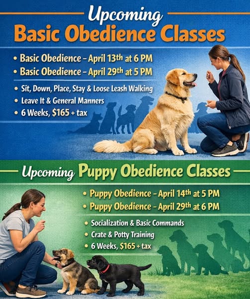 Meadow Ridge Pet Lodge Facebook ad