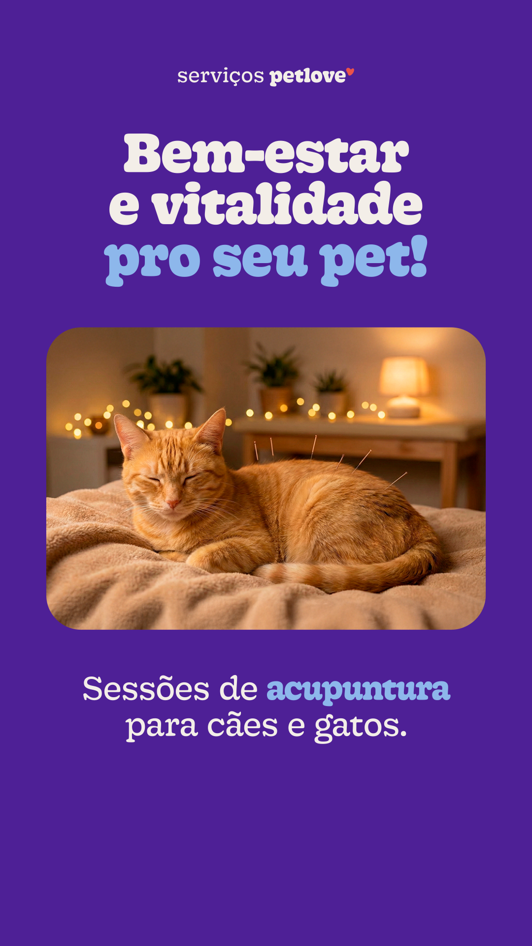 Petlove Facebook ad