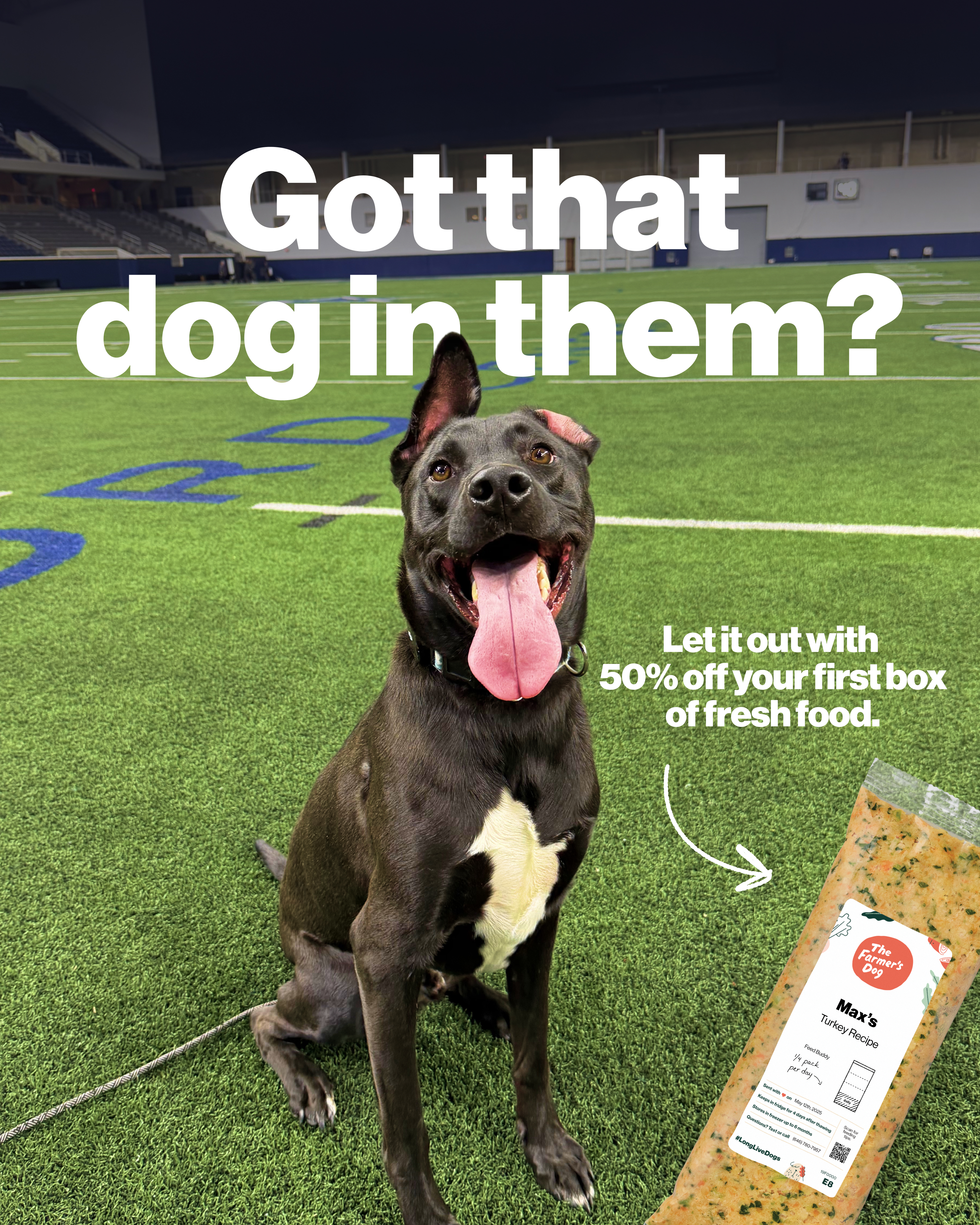 The Farmer's Dog Facebook ad