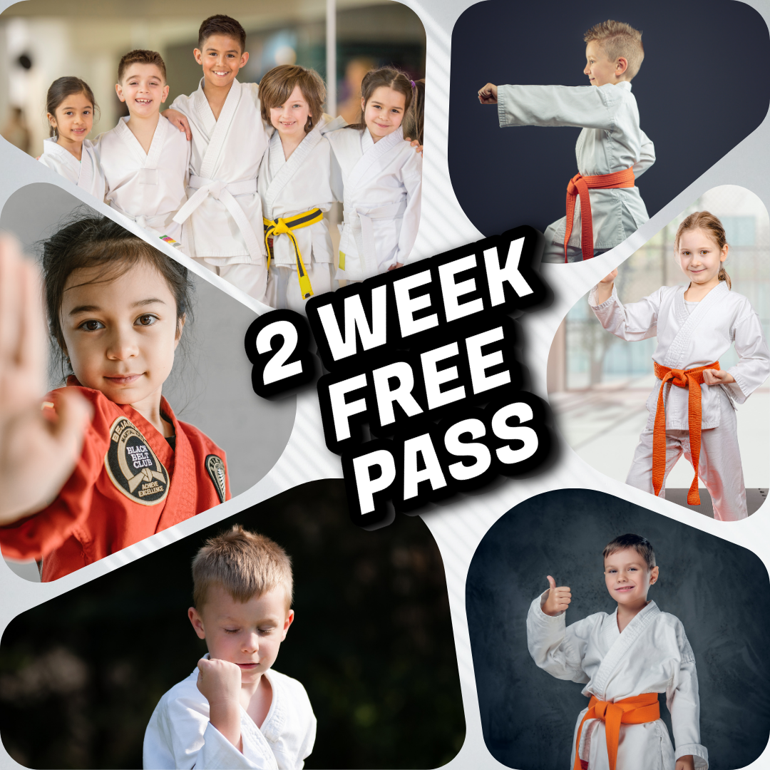 Authentic White Tiger Kung Fu Facebook ad: Two Weeks of Free Martial Arts Classes