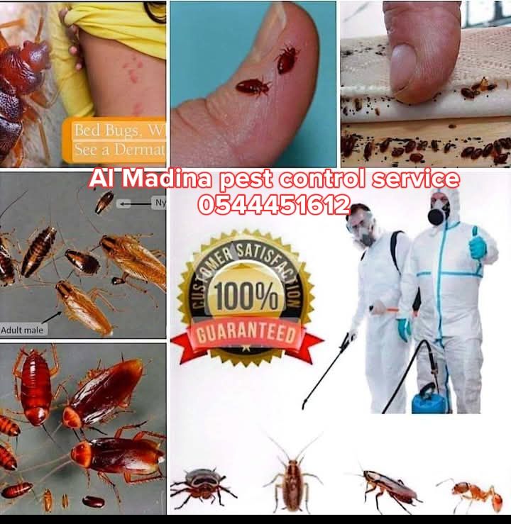 Al Madina Pest Control Service Facebook ad: SPECIAL WEEKEND PEST CONTROL OFFER