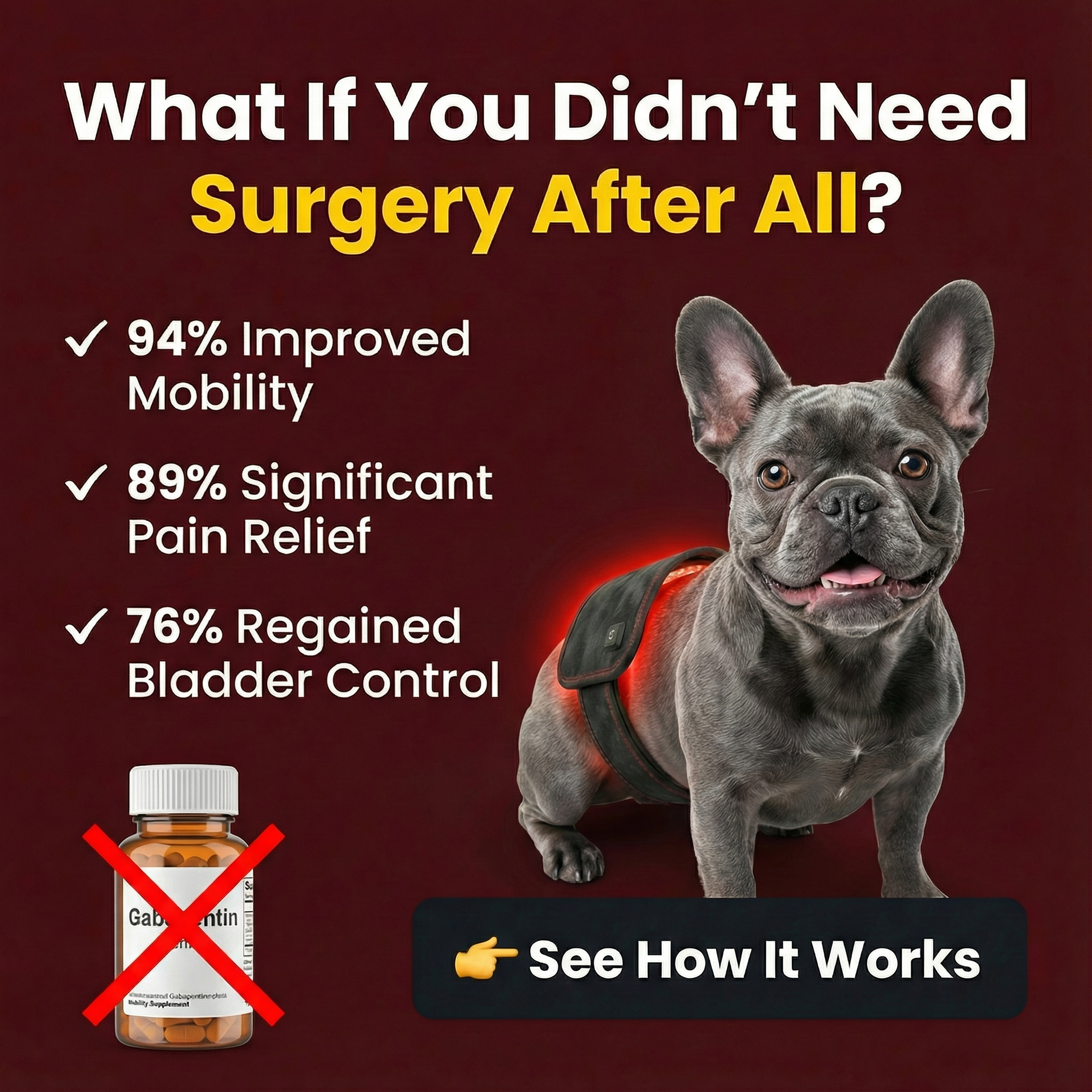 Amy's Dog Diary Facebook ad: Try PetGlow Risk-Free Today