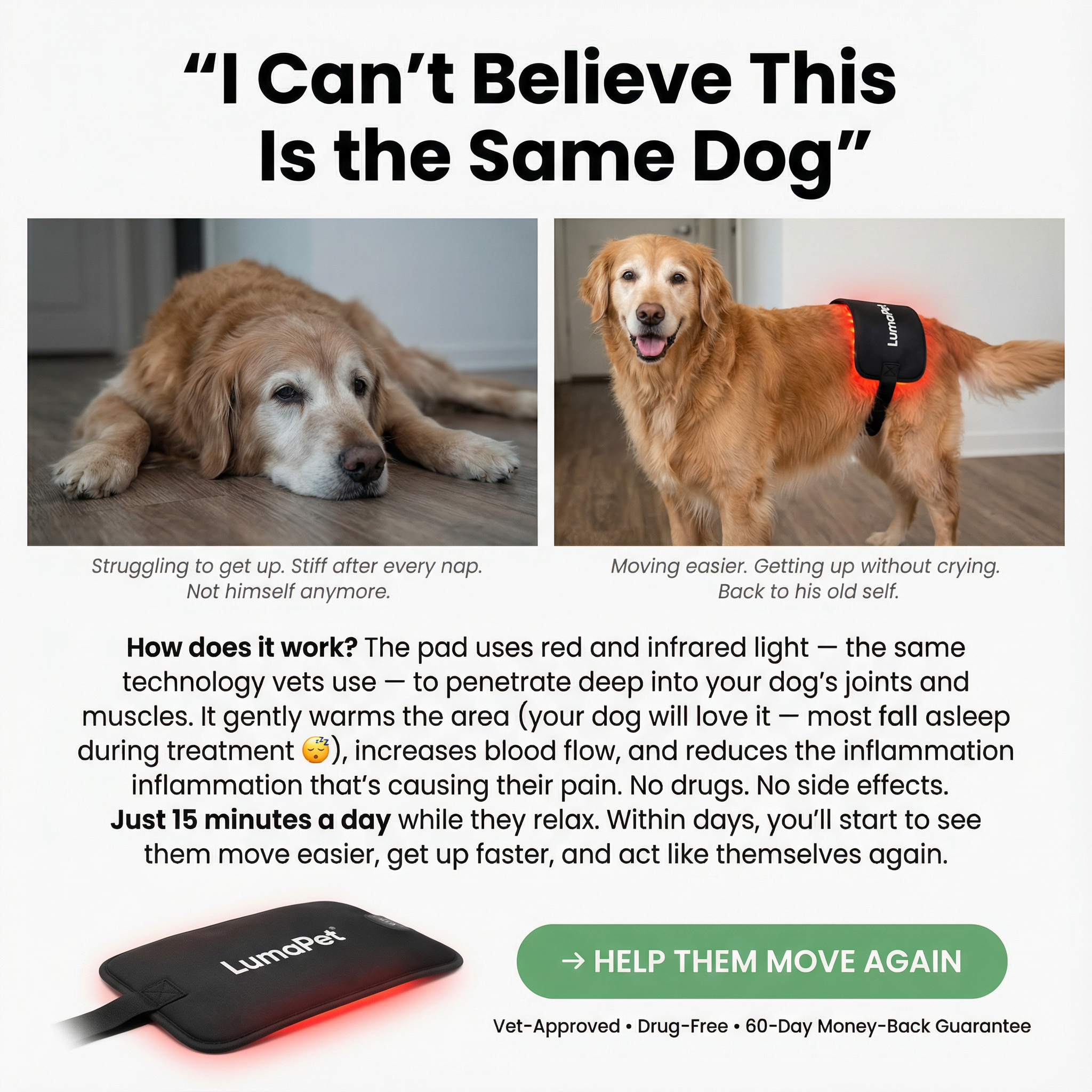 Life With Emma & Pup Facebook ad