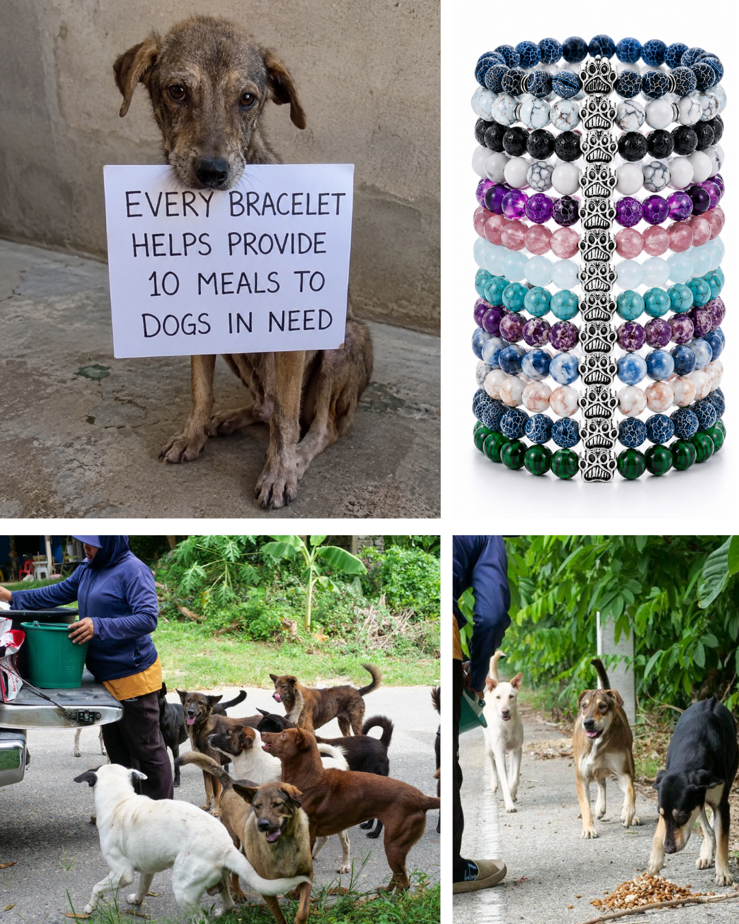 Rescue Paws Facebook ad