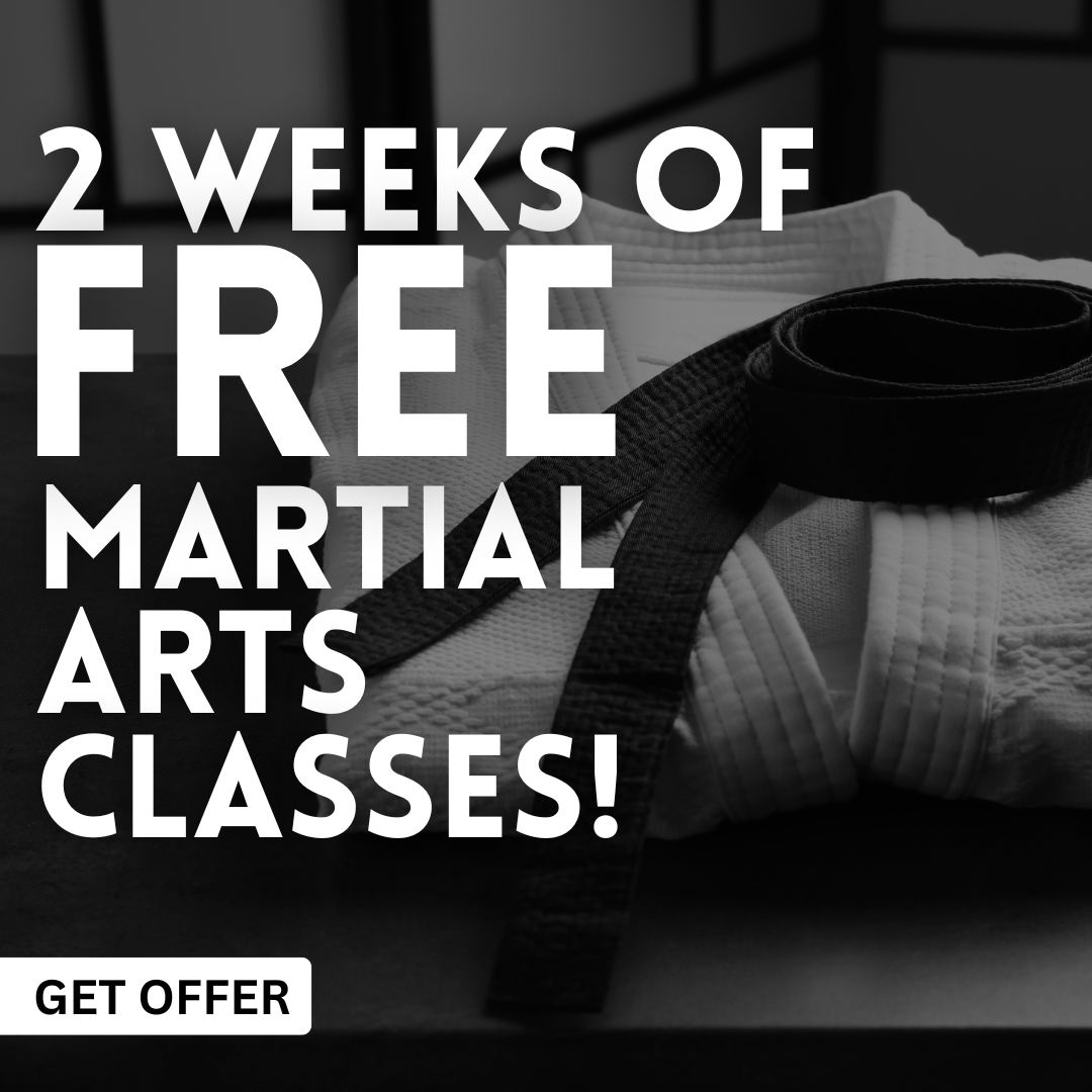 Blazier Martial Arts Facebook ad: 2 Weeks of Free Martial Arts Classes!